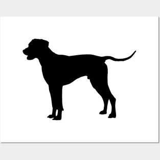 Rhodesian Ridgeback black Posters and Art